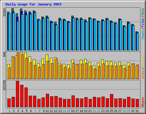 Daily usage for January 2023