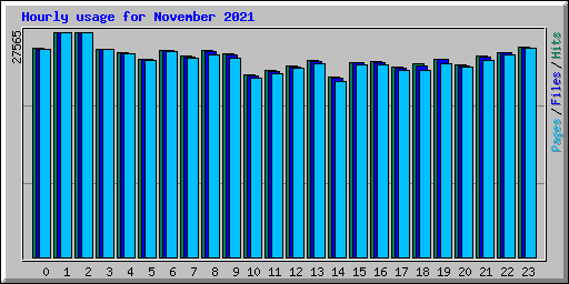 Hourly usage for November 2021
