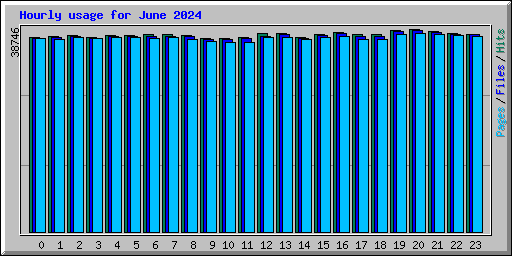 Hourly usage for June 2024