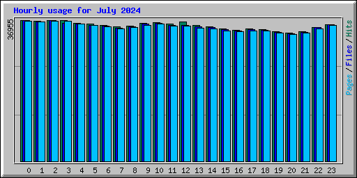 Hourly usage for July 2024
