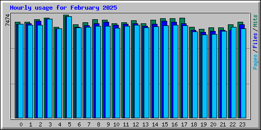 Hourly usage for February 2025