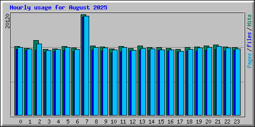 Hourly usage for August 2025