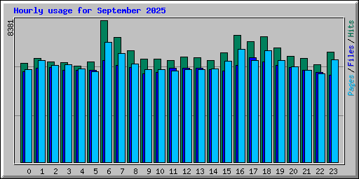 Hourly usage for September 2025